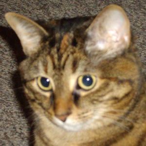 Meet your Posher, Leigh